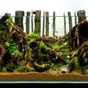 Hardscape: Code 124 (50cm)