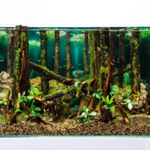Hardscape: Code 126 (50cm)