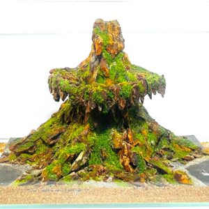 Hardscape: Code 137 (40cm)