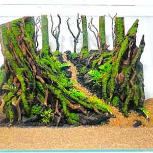 Hardscape: Code 138 (40cm)