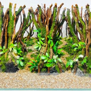 Hardscape: Code 141 (40cm)