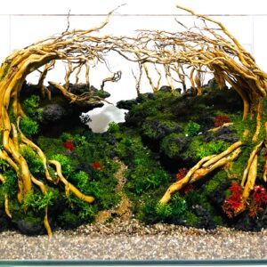 Hardscape: Code 145 (45cm)