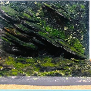 Hardscape: Code 146 (45cm)