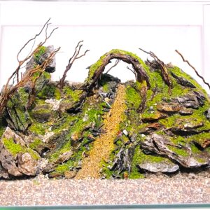 Hardscape: Code 147 (45cm)
