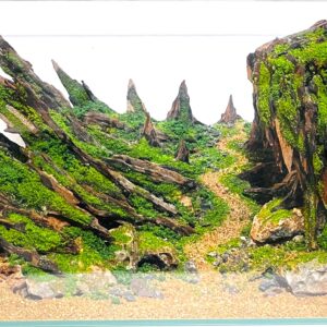 Hardscape: Code 149 (45cm)