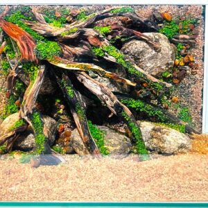 Hardscape: Code 152 (45cm)