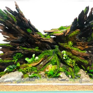 Hardscape: Code 153 (50cm)