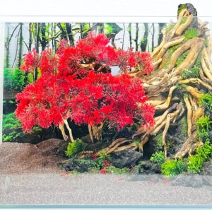 Hardscape: Code 131 (35cm)