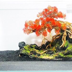 Hardscape: Code 128 (35cm)