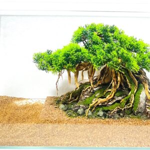 Hardscape: Code 133 (35cm)