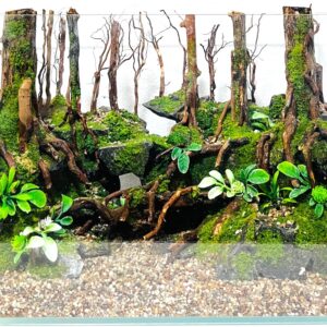 Hardscape: Code 130 (35cm)